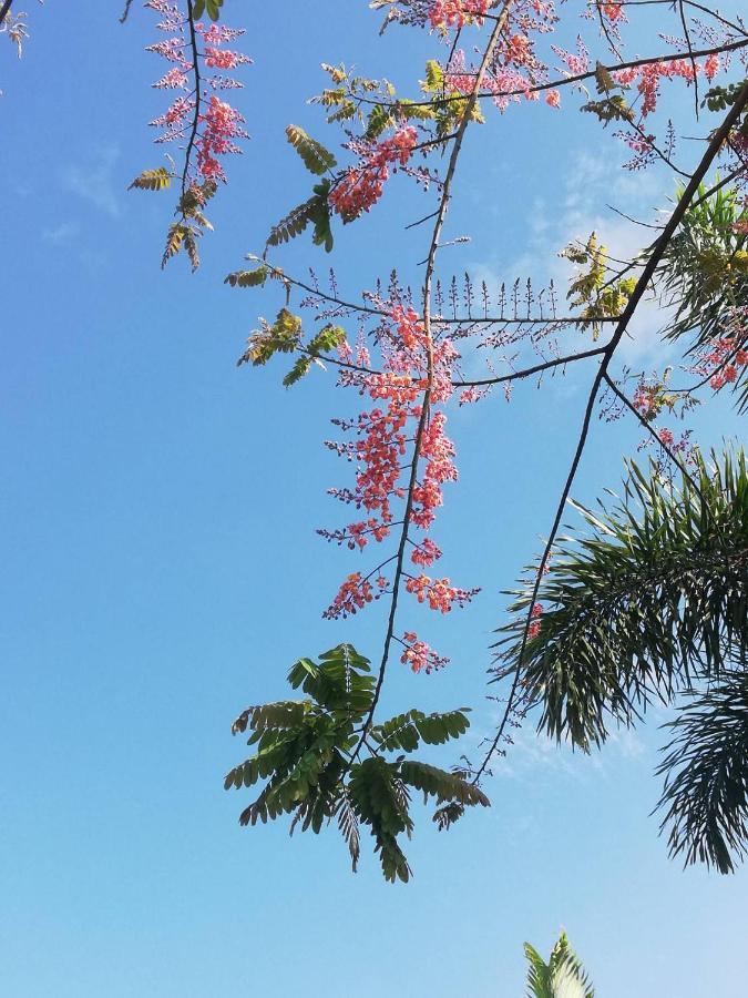 Thanorm Rak Resort Khao Kho Eksteriør bilde