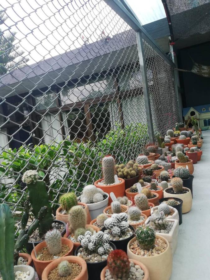 Thanorm Rak Resort Khao Kho Eksteriør bilde