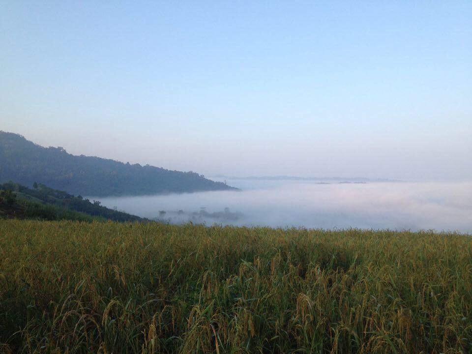 Thanorm Rak Resort Khao Kho Eksteriør bilde